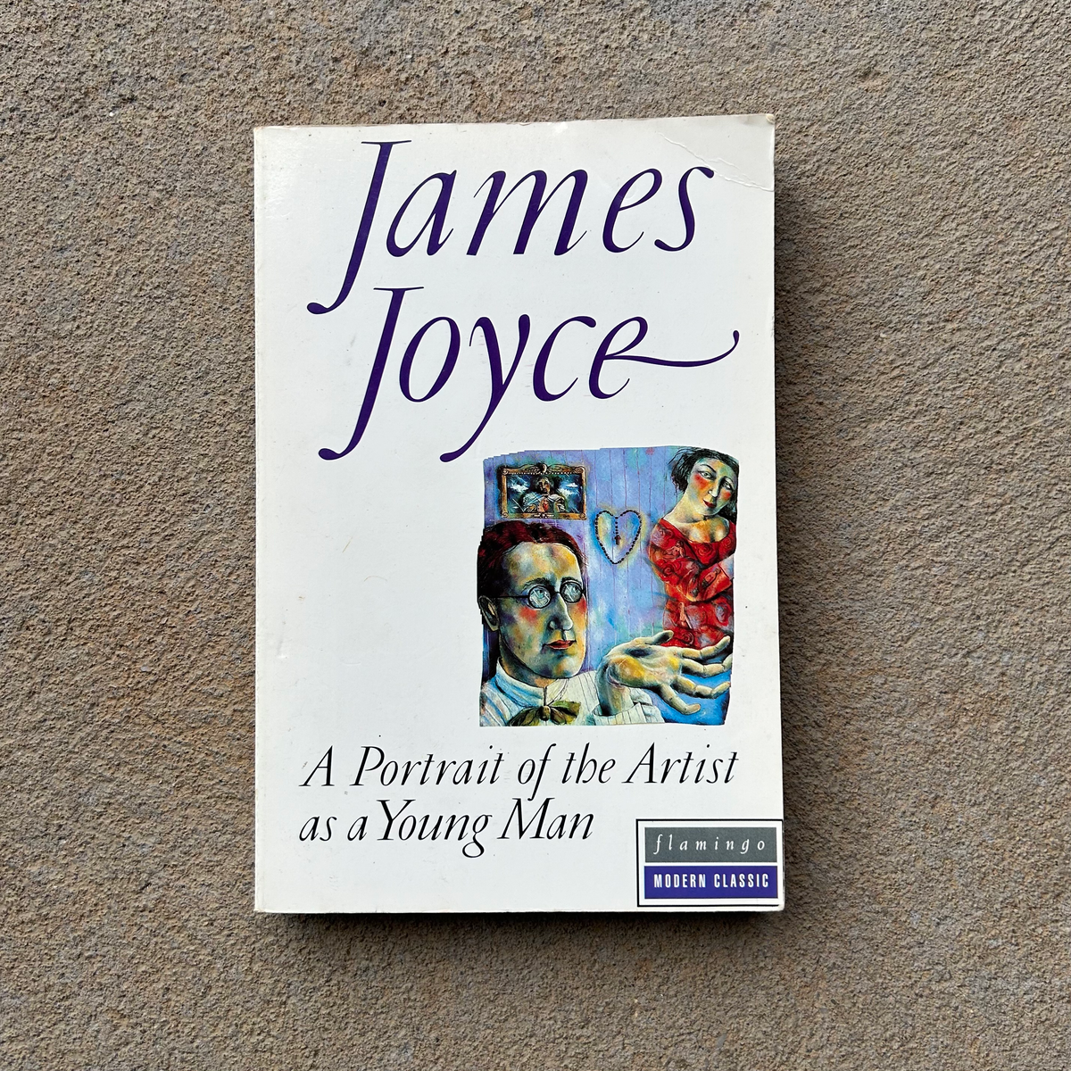 A Portrait of the Artist as a Young Man by James Joyce Book (1994)
